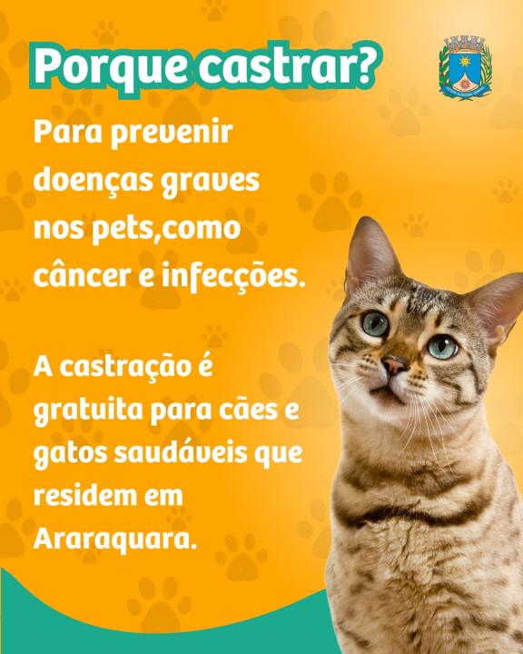 Foto 1 de 3 — Veja como solicitar castração animal de graça em Araraquara